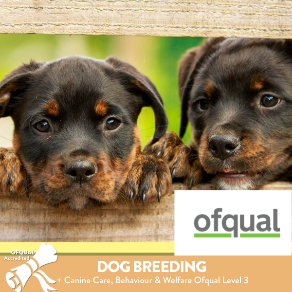 Dog Breeders - Enhanced